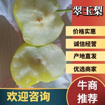 翠玉梨预售欢迎实地考察看货河南产地皮薄汁多
