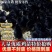 【推荐】黑凤鸡苗天露黑鸡苗包邮包路损防疫齐全全国发货