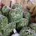 精品推荐【甘肃辣椒】诚信牛商商超品质一手货源