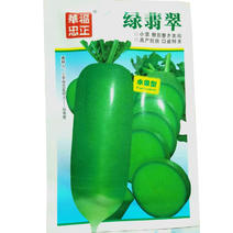 绿翡翠水果萝卜种子小顶三系杂交脆绿皮绿肉抗病强
