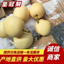 河北皇冠梨大量现货供应，适合批发市场和电商量大优惠