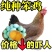 【热销】麻羽绿壳蛋鸡苗蛋鸡苗疫苗齐全保质保量包成活