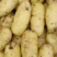 土豆，云南黄心土豆，万亩基地现挖现货，价格实惠欢迎咨询
