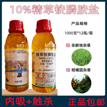 七精同锄精草铵膦铵盐小飞蓬牛筋草柑橘园非耕地灭生性除草剂