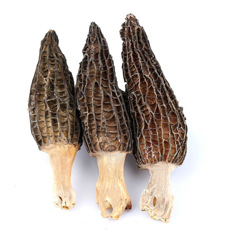 云南羊肚菌500g新鲜菌菇羊肚菇煲汤干货食材一件代发