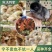 【诚信】九斤黄鸡苗诚信孵化场货到满意付款包打疫苗包售后