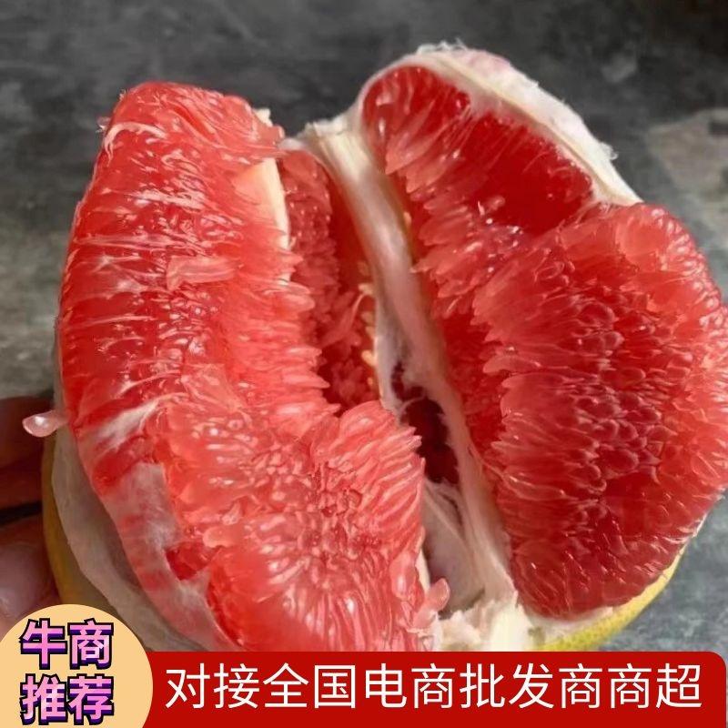 严选蜜柚红心柚品种齐全质量水份好电商市场果大量供