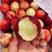 山西油桃珍珠枣油桃产地供应品种齐全代发全国欢迎来电咨询