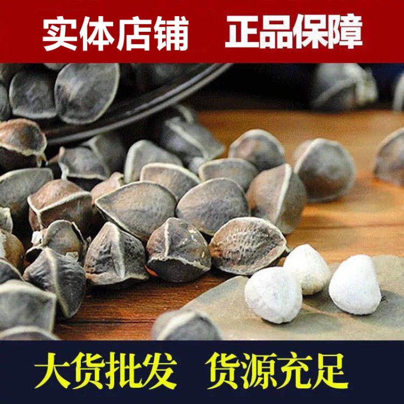 辣木籽一手货源人工挑选颗粒饱满无坏籽辣木子低价批发