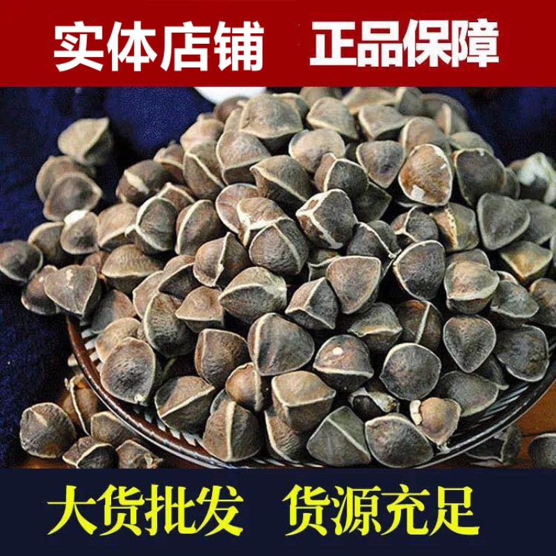 辣木籽一手货源人工挑选颗粒饱满无坏籽辣木子低价批发
