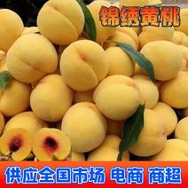 【黄桃】湖北锦绣黄桃大量供应现摘现发对接全国市场