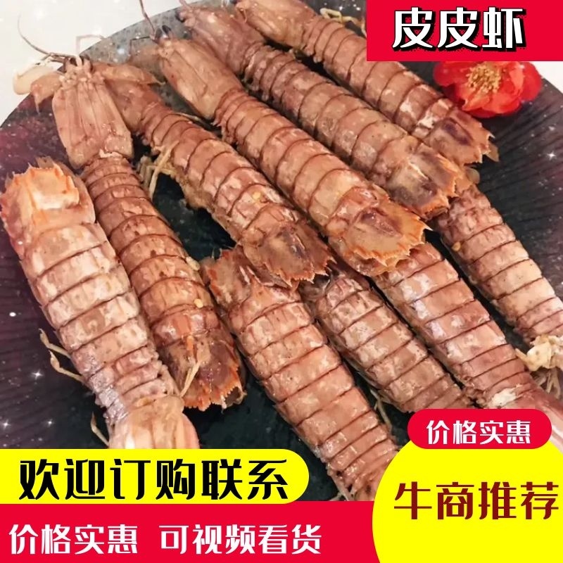【精品】鲜活皮皮虾带膏虾婆虾姑濑尿虾保活可视频看货