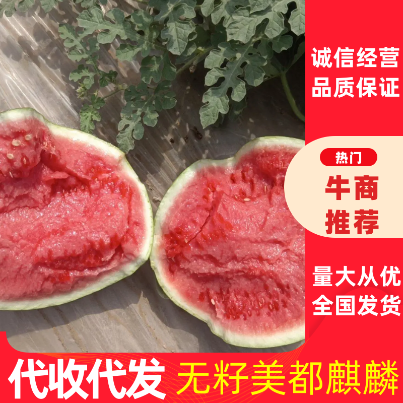 西瓜