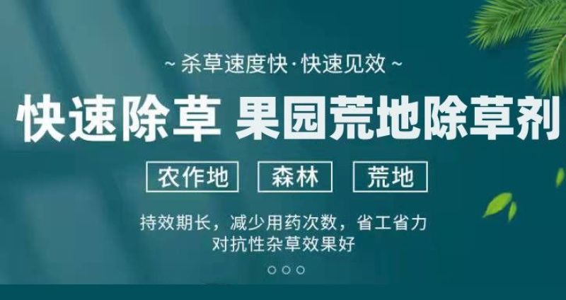 正品草甘膦强力灭杂除草官方旗舰店除草烂根剂专用正品草甘磷