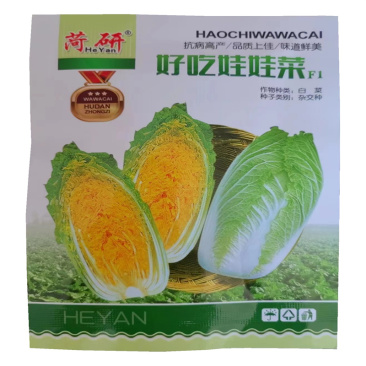 黄心娃娃菜种子四季早熟好吃娃娃菜种子黄心小白菜籽口感脆嫩