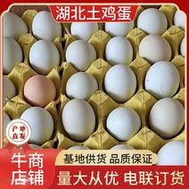 【批发】土鸡蛋，初生蛋，绿壳蛋，京山山林放养虫草蛋