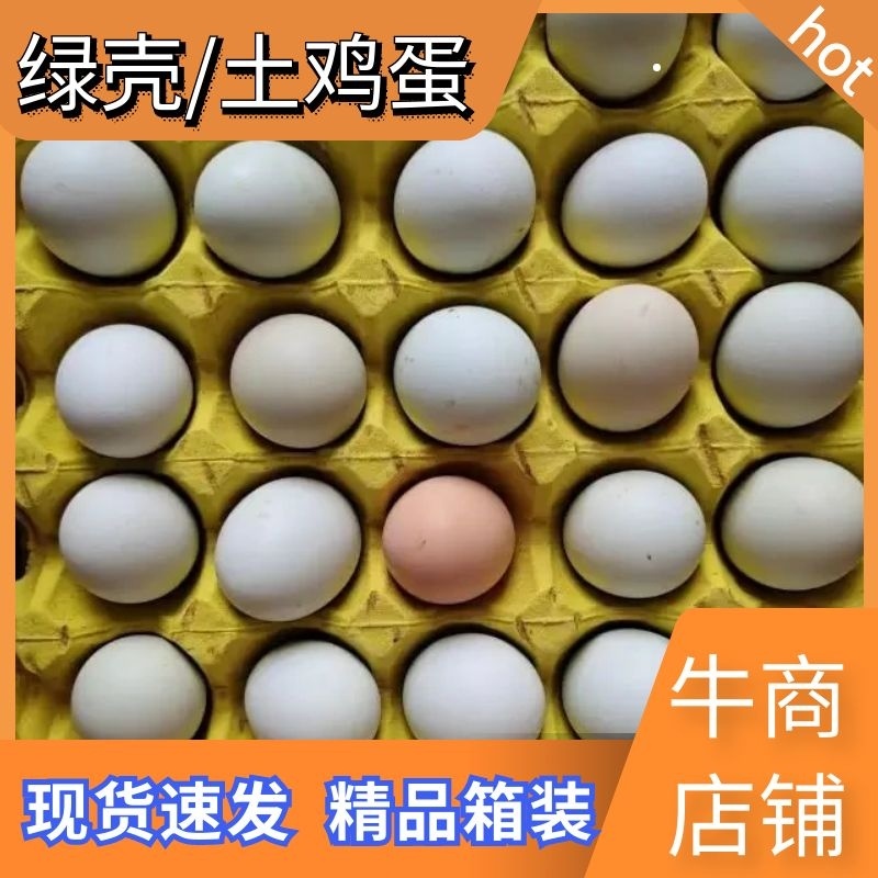 【按箱】土鸡蛋绿壳鸡蛋林间散养有机喂养量大从优电联