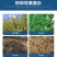 园林绿化碎枝机小型木材树枝粉碎机移动式秸秆破碎机