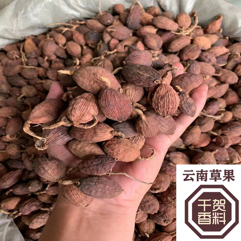 草果短把草果电烤生晒无烟果草果把子去把大个头草果