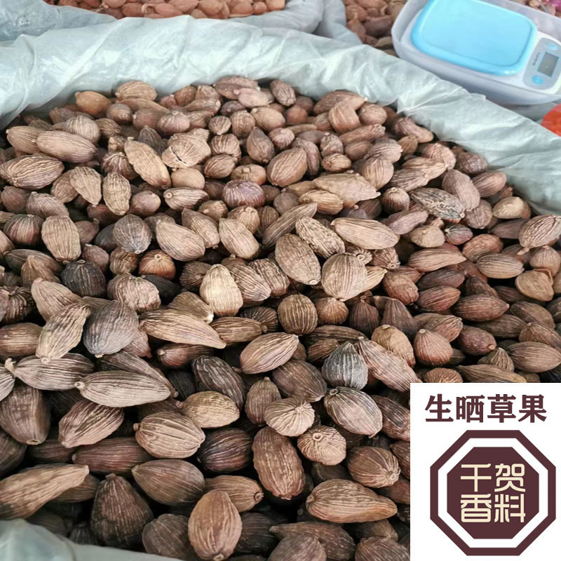草果短把草果电烤生晒无烟果草果把子去把大个头草果
