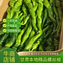 甘肃陇椒辣椒，精品螺丝椒大量有货，一手货源欢迎致电