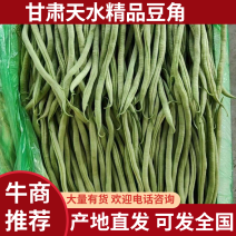 精品四季豆无筋豆大量有货产地直发定价品质有保证迎