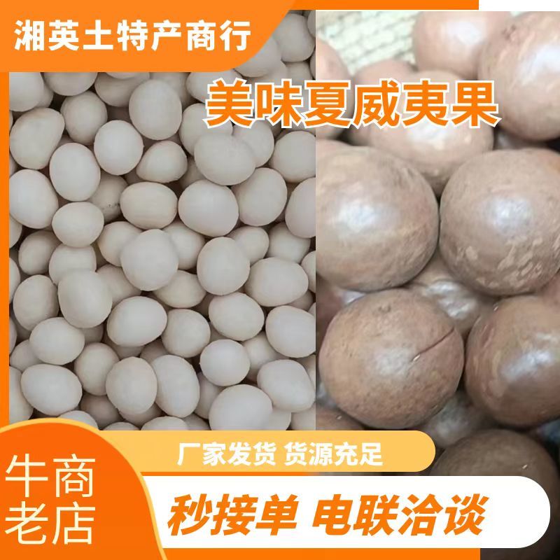 【袋装】夏威夷果仁南非货源工厂发货品质保证诚信经营各规格
