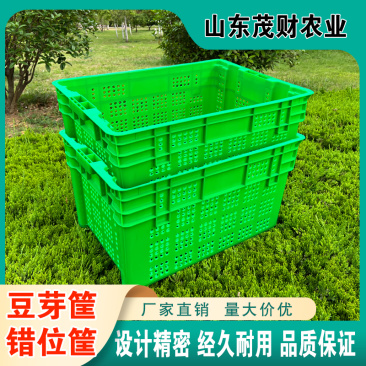厂家供应豆芽培植塑料箱豆芽生产周转箱蔬菜果蔬物流周转