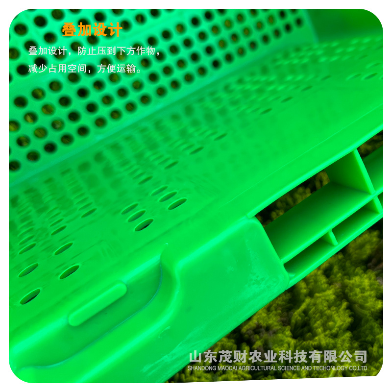 厂家供应豆芽培植塑料箱豆芽生产周转箱蔬菜果蔬物流周转