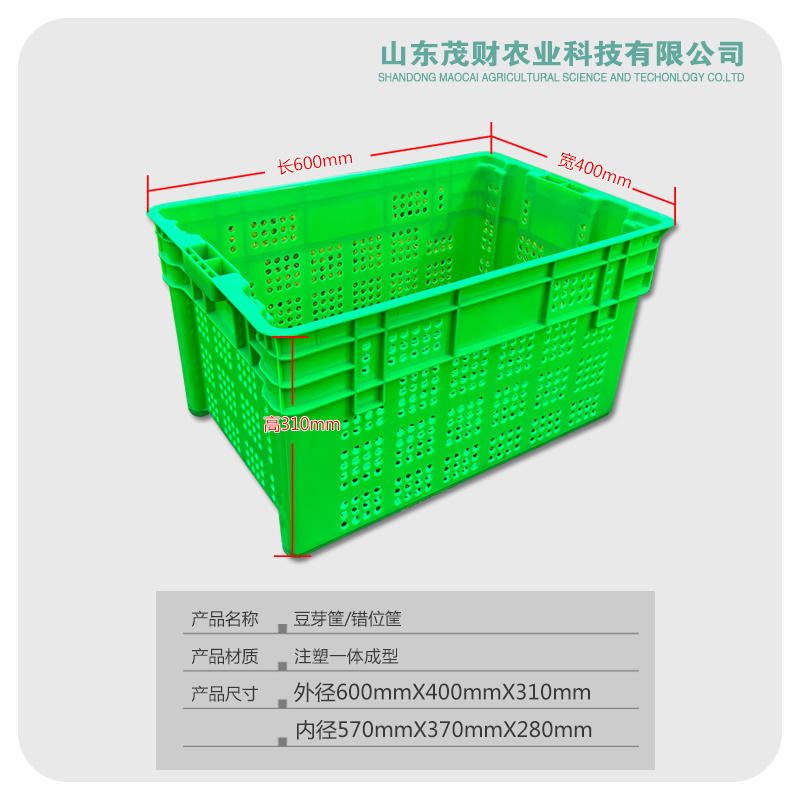 厂家供应豆芽培植塑料箱豆芽生产周转箱蔬菜果蔬物流周转