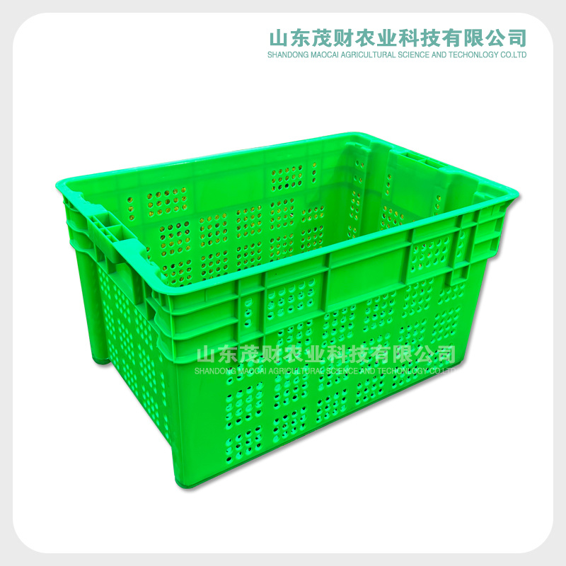 厂家供应豆芽培植塑料箱豆芽生产周转箱蔬菜果蔬物流周转