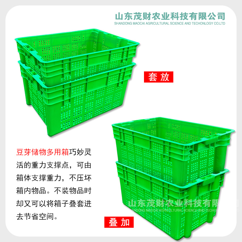 厂家供应豆芽培植塑料箱豆芽生产周转箱蔬菜果蔬物流周转