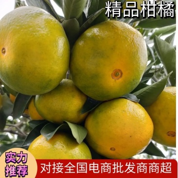 柑桔代办，品质优，口感甜，簿皮肉厚，有需要的贵宾速购