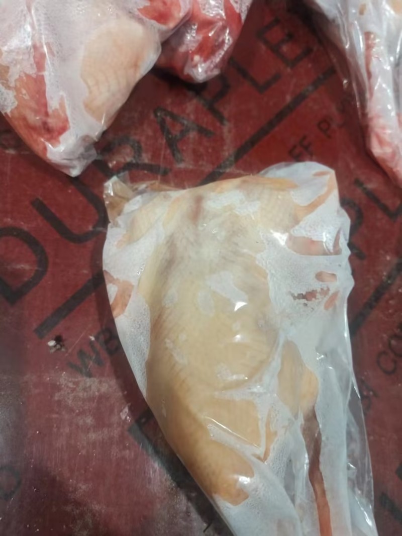 乳鸽白条鸽工厂店发货批发商电商餐饮稳定供应