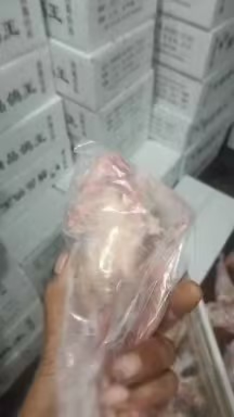 乳鸽白条鸽工厂店发货批发商电商餐饮稳定供应
