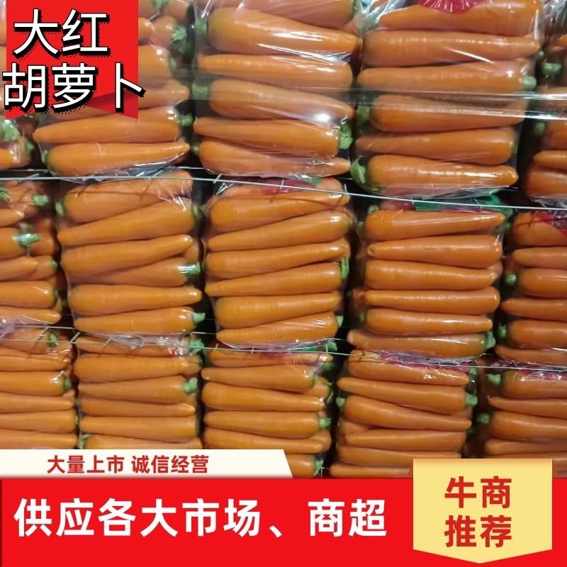 开封胡萝卜通许大红胡萝卜规格齐全代发全国市场欢迎来电
