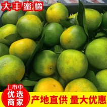 大丰蜜橘，果色好果形端正，无渣无核，一手货源，产地直发