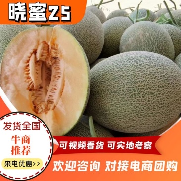 海南晓蜜25哈蜜瓜精品小蜜25代发全国新鲜供应