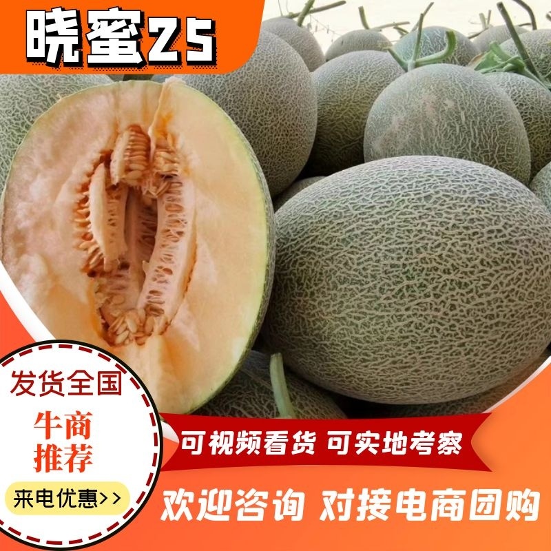 海南晓蜜25哈蜜瓜精品小蜜25代发全国新鲜供应