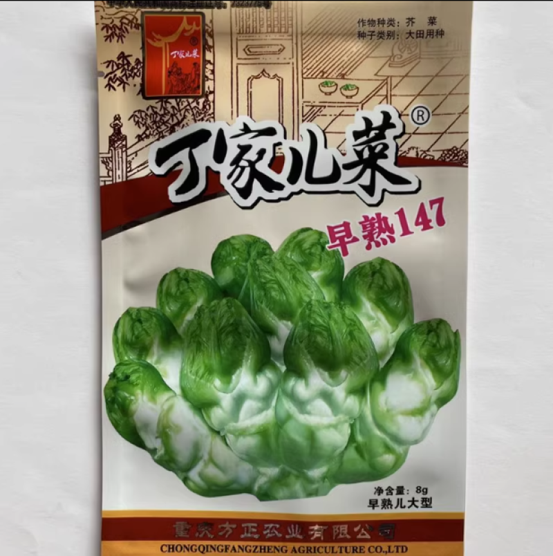 丁家儿菜种子早熟147杂交儿菜种子耐寒基地专用蔬菜种子