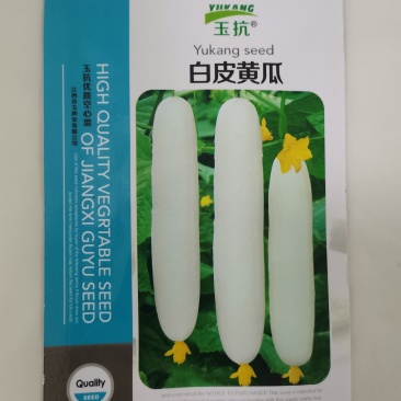 大白黄瓜种子高端白晶一号水果黄瓜白皮黄瓜奶油黄瓜种子清香