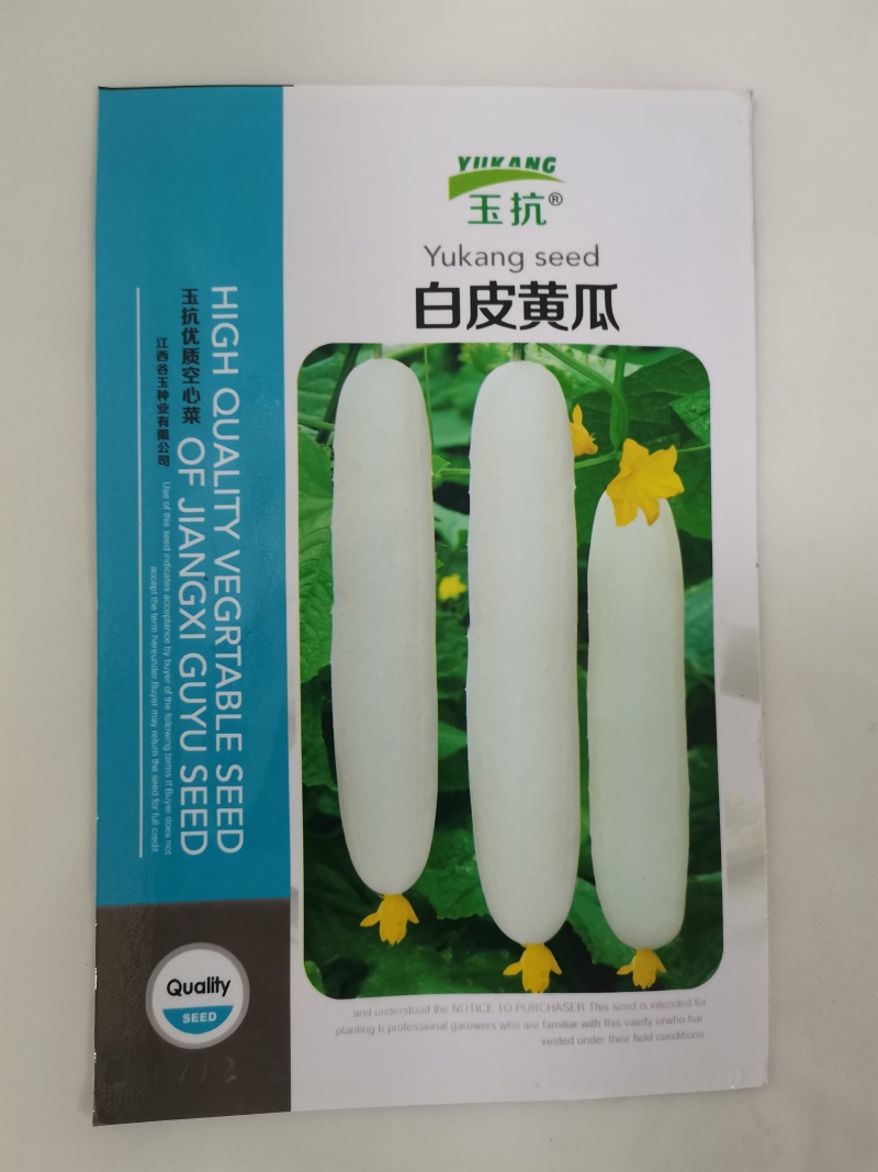 大白黄瓜种子高端白晶一号水果黄瓜白皮黄瓜奶油黄瓜种子清香