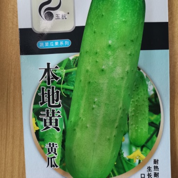 高端水果黄瓜种子甜脆嫩美味黄瓜种子蔬菜种子旱黄瓜刺黄瓜