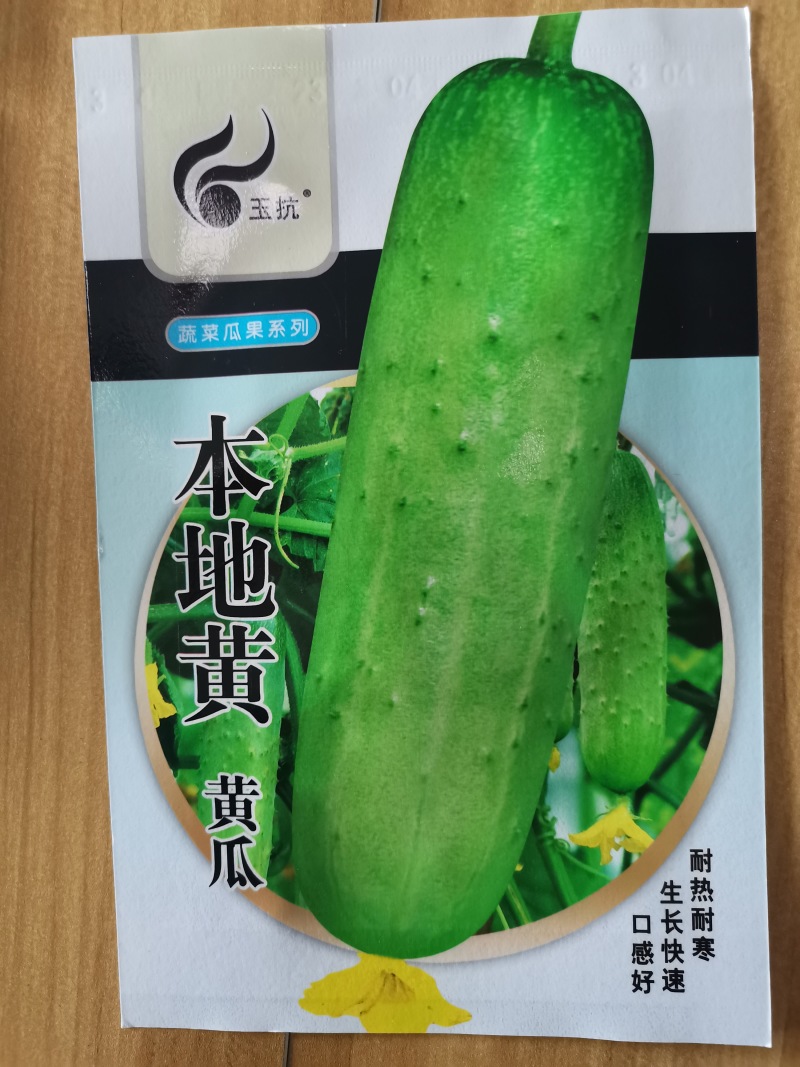 高端水果黄瓜种子甜脆嫩美味黄瓜种子蔬菜种子旱黄瓜刺黄瓜