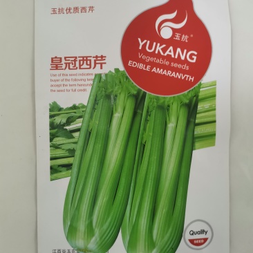 实心芹菜种一号菜种子实心香芹原装正品津南实芹菜种子原装