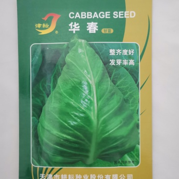 包菜种籽牛心甘蓝种子春丰甘兰春秋包菜夏秋四季绿蔬菜种孑春