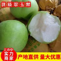 【梨】安徽翠玉梨大量供应脆甜无渣对接全国市场电商
