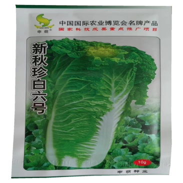 青麻叶白菜种子新秋珍白六号申萌大白菜种子耐热麻叶青白菜种