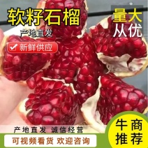 四川凉山会理软籽石榴，突尼斯石榴，量大从优，精品市场货，