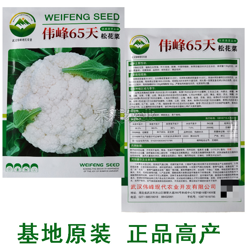 基地优品伟峰65天花菜种子青梗有机花椰菜籽菜花种子松散小